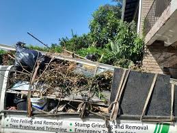 Best Shed Removal  in Jeffersonville, OH