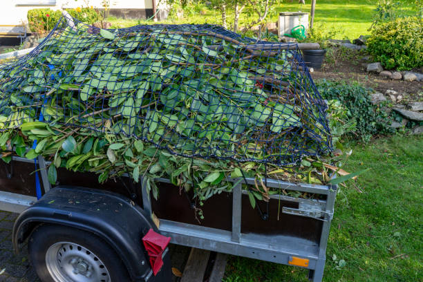 Best Hoarding Cleanup  in Jeffersonville, OH